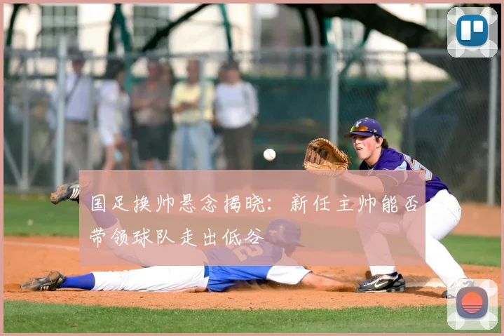 国足换帅悬念揭晓：新任主帅能否带领球队走出低谷