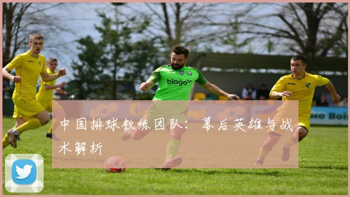 中国排球教练团队：幕后英雄与战术解析